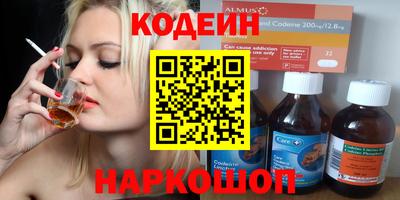 крисы Можга