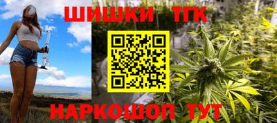 крисы Можга