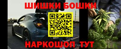 крисы Можга
