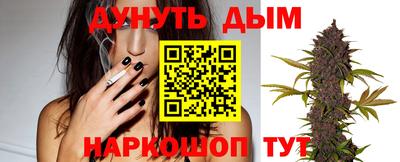 крисы Можга