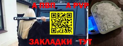 крисы Можга