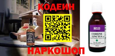 крисы Можга