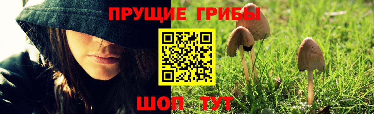 Галлюциногенные грибы прущие грибы Черняховск