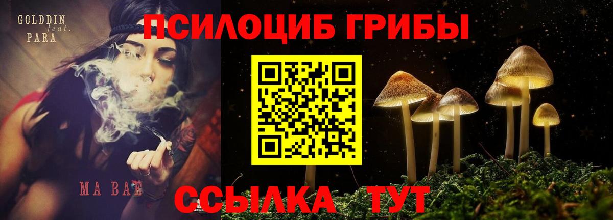 Галлюциногенные грибы MAGIC MUSHROOMS  Псилоцибиновые грибы MAGIC MUSHROOMS  Черняховск  Вход с VPN 